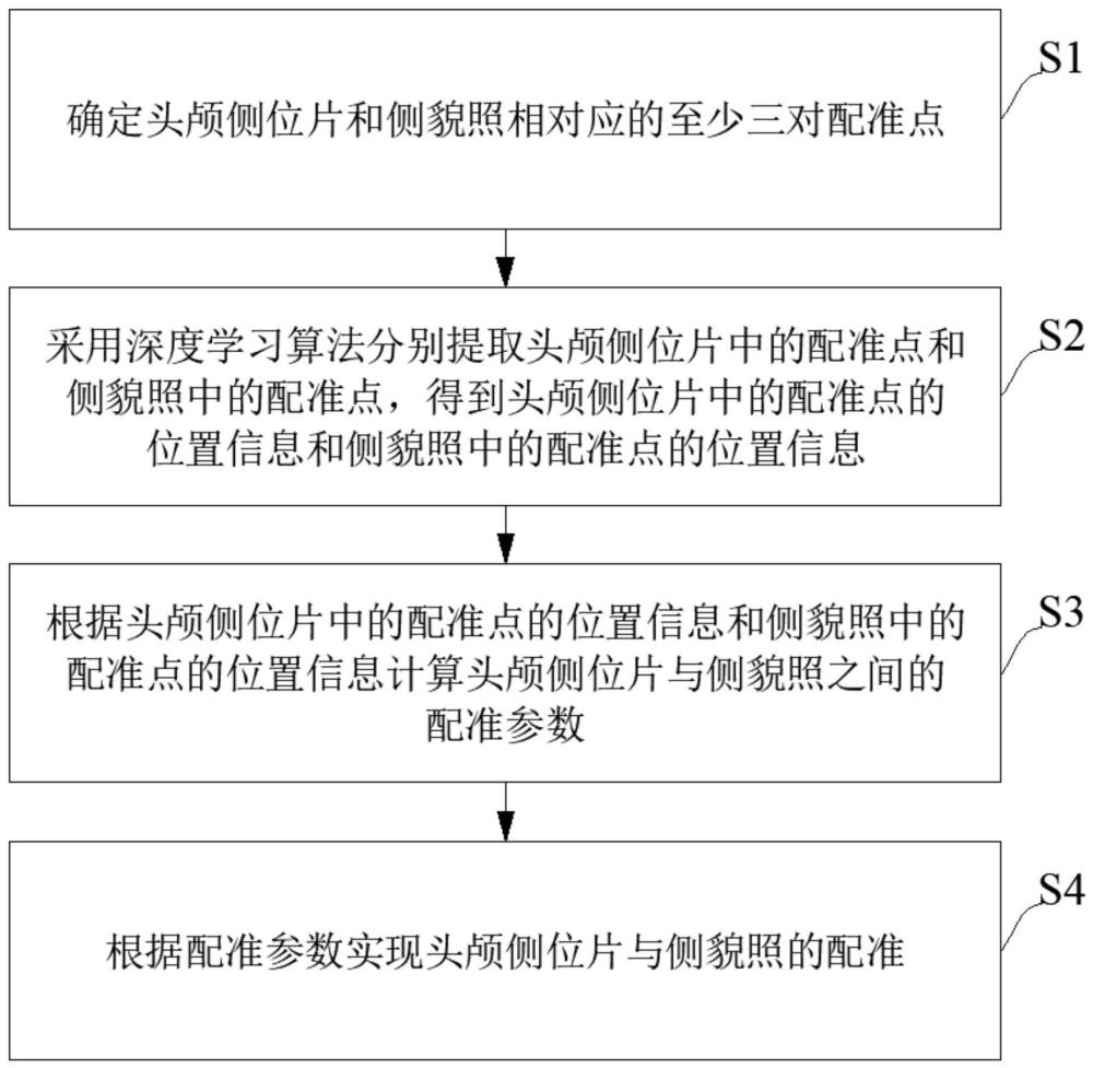 头颅侧位片与侧貌照的配准方法和装置与流程